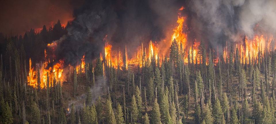 Vorsicht, Waldbrandgefahr steigt!
