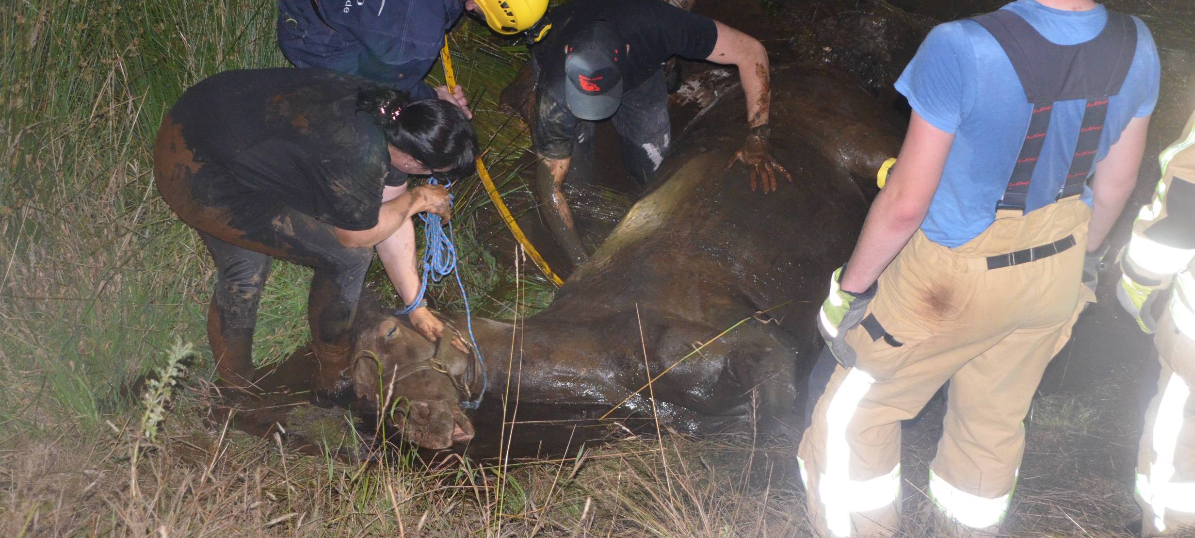 Feuerwehr rettet "John-Boy"