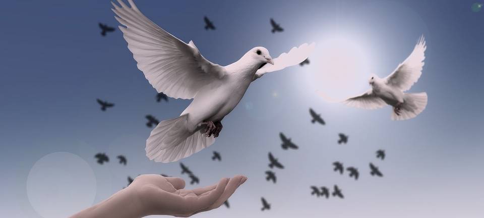 Perspektiven Friedensarbeit