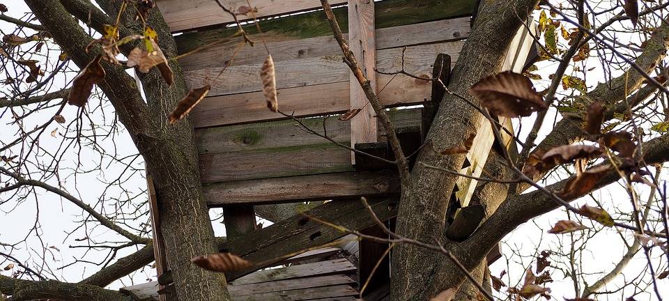 Neue Bauten im Hambacher Forst