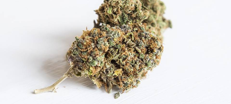 Prozessbeginn Drogenhandel