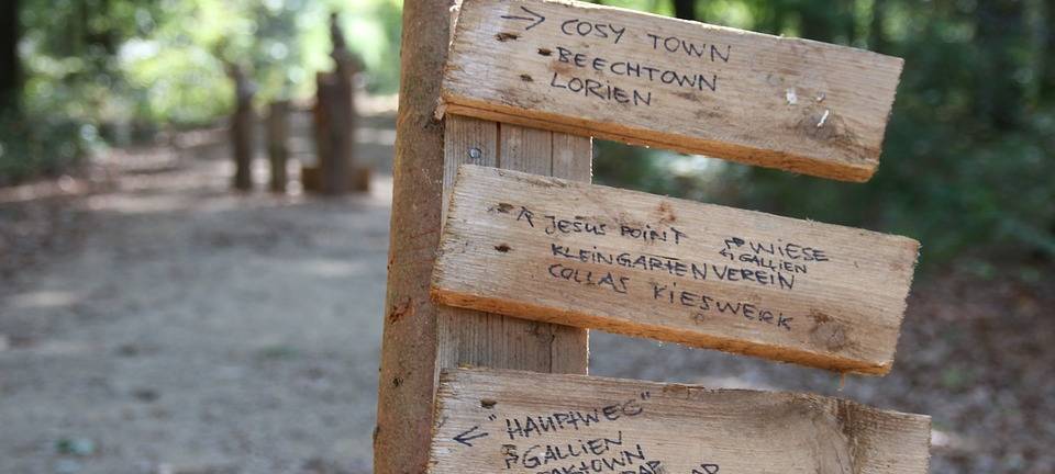 Wieder Zwischenfall im Hambacher Forst