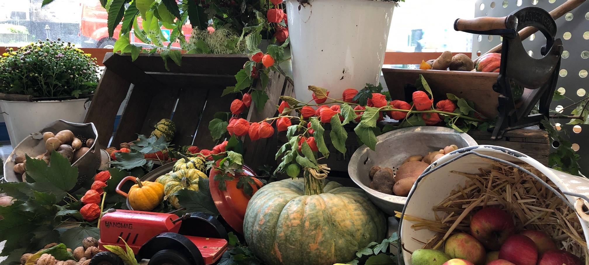 Erntedank: Geringere Erträge für die Landwirte