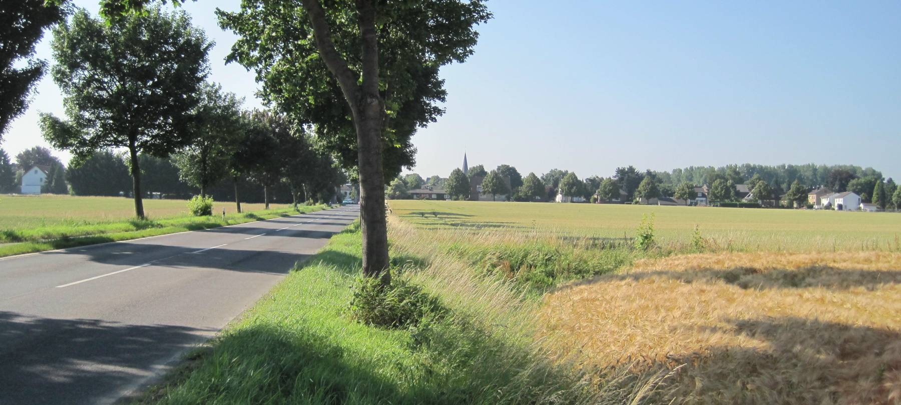 BI-Dell weist auf Verfahrensfehler hin