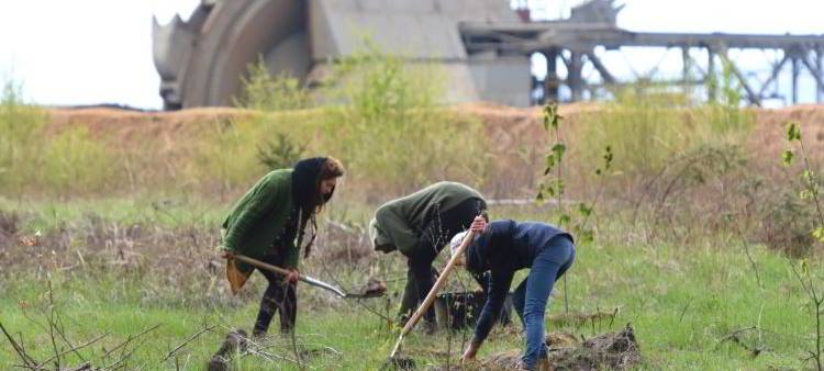 Pflanzaktion im Hambacher Forst