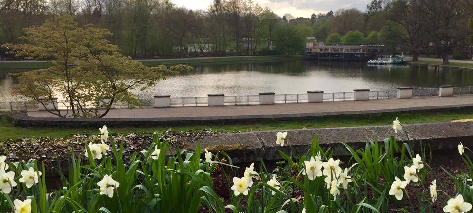 Fische aus dem Hangeweiher werden umgesiedelt