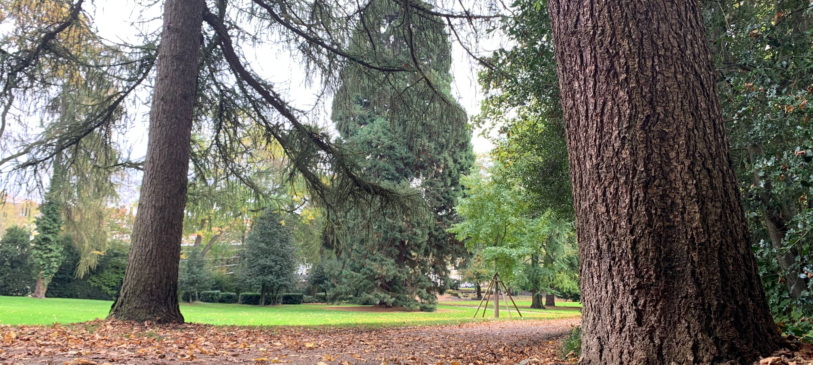 Aachen: Stadtpark wird verschönert