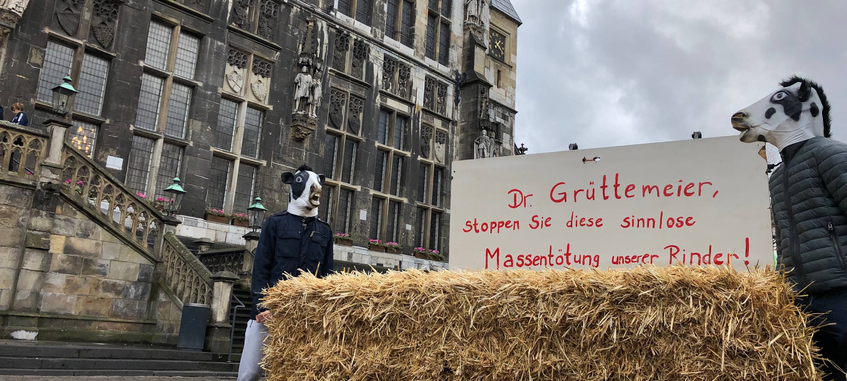 Initiative "Kühe retten"