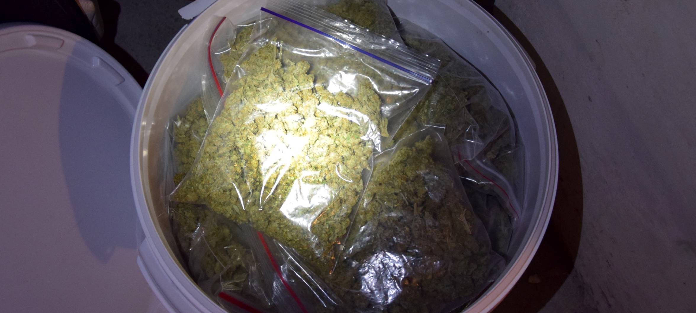 Eimer voller Marihuana gefunden