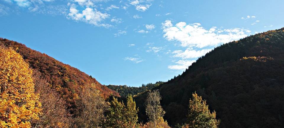 Nationalpark-Schulen Eifel