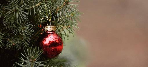 Aachener Stadtbetrieb sammelt Weihnachtsbäume ein