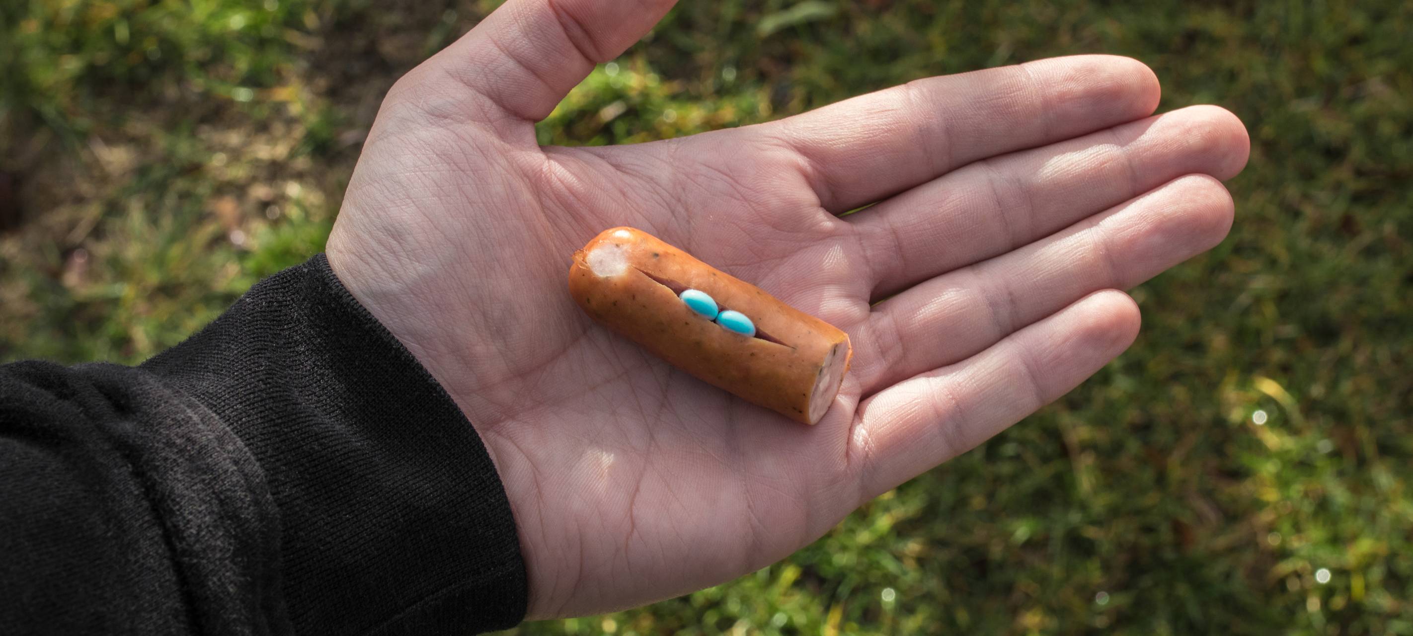 Zeugensuche: Fahrerflucht und Giftköder