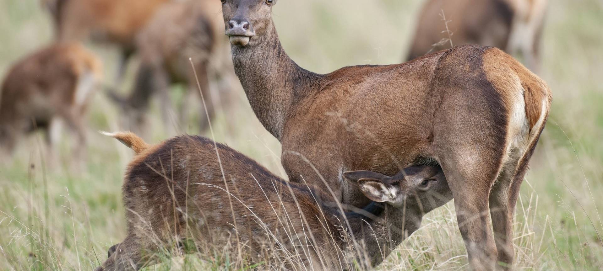 Eifel: Tourismus wird reaktiviert