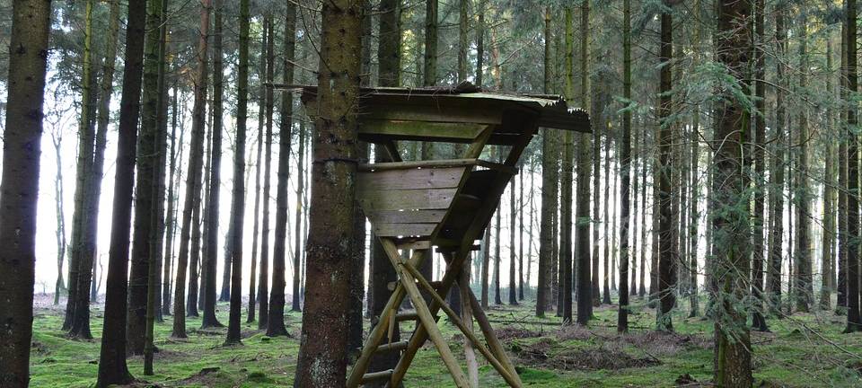 #Hambi: Hochsitz angezündet