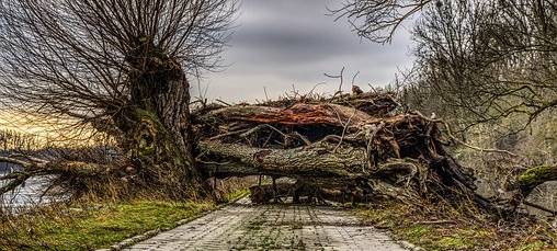 Wieder Sturmeinsätze
