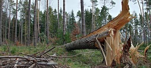 Sturmtief "Sabine" sorgt für viel Wirbel