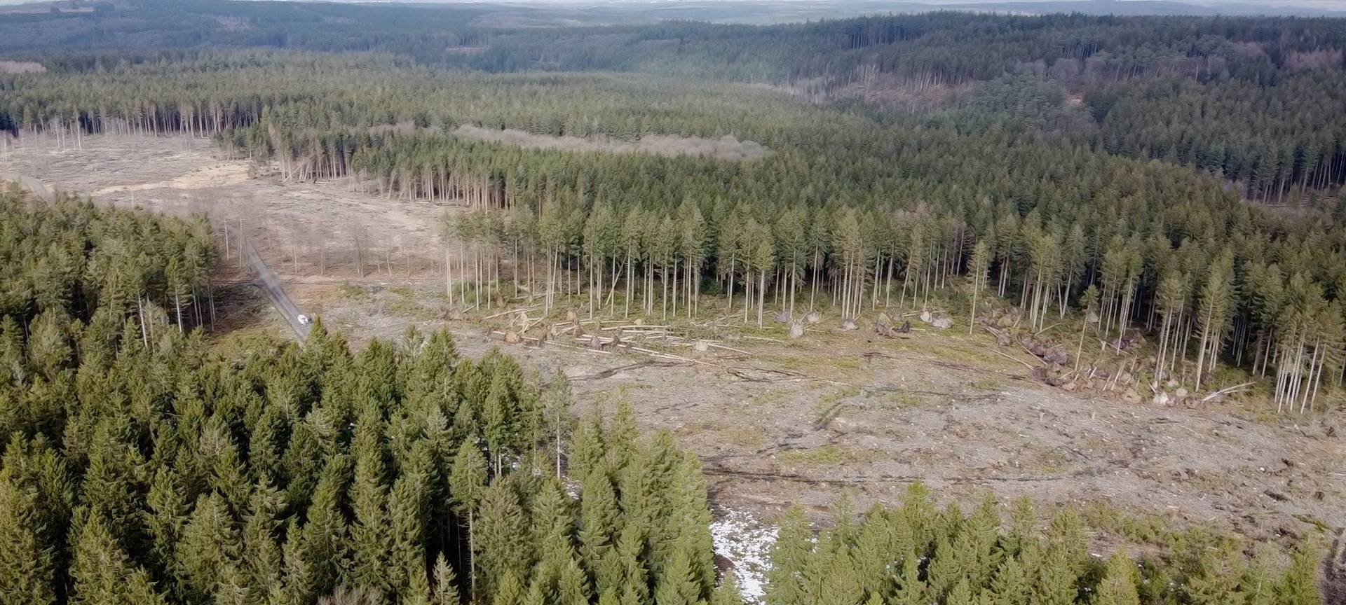 Tornado in Roetgen jährt sich