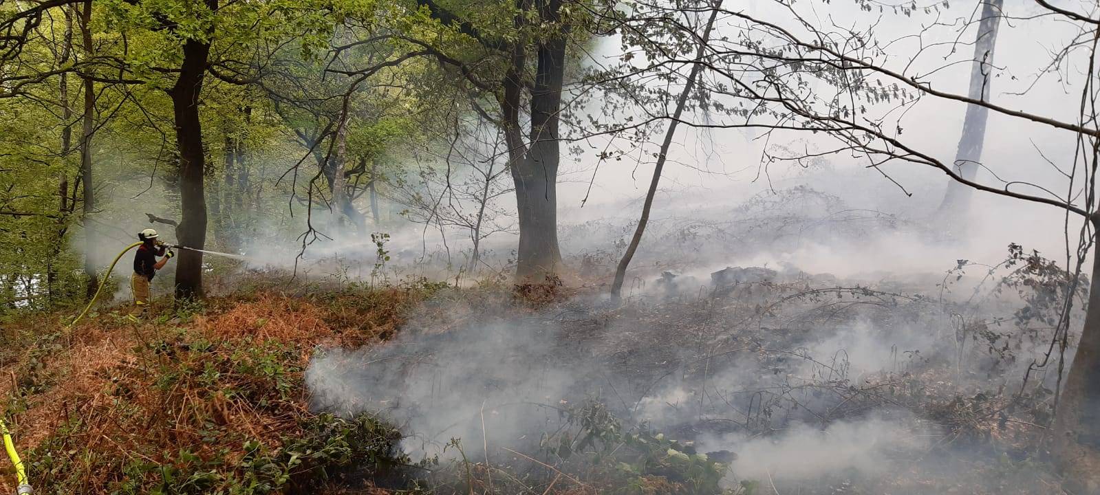 Alsdorf: Flächenbrand am Broicher Weiher