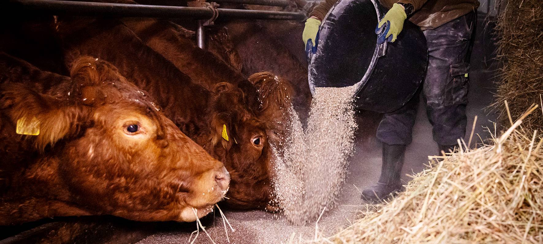 IG BAU: Sorge um Zusatzrente in der Landwirtschaft