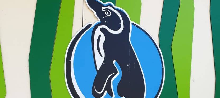 Kein Datum für Öffnung des Tierparks