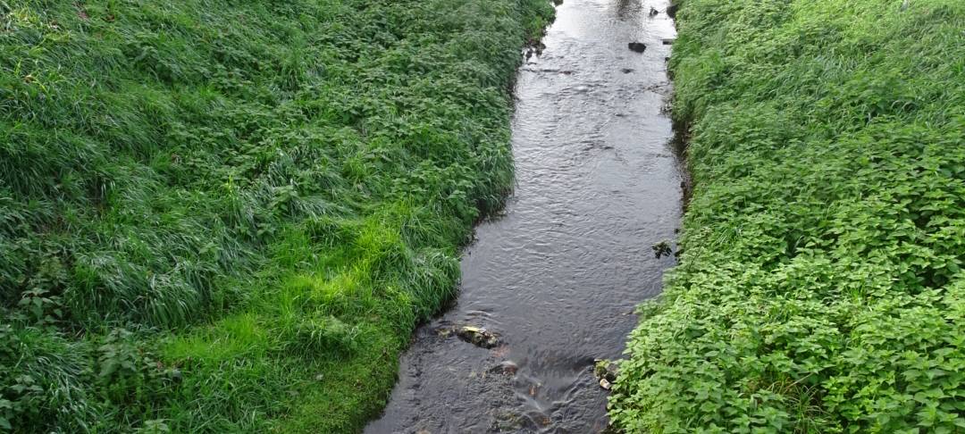 Langerwehe: Wehebach-Renaturierung fürs Bürgergärtchen