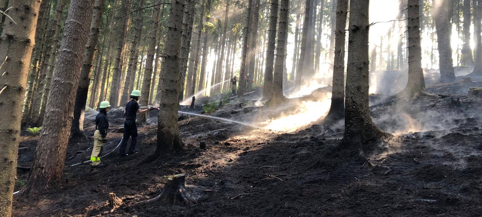 Brand im Aachener Wald