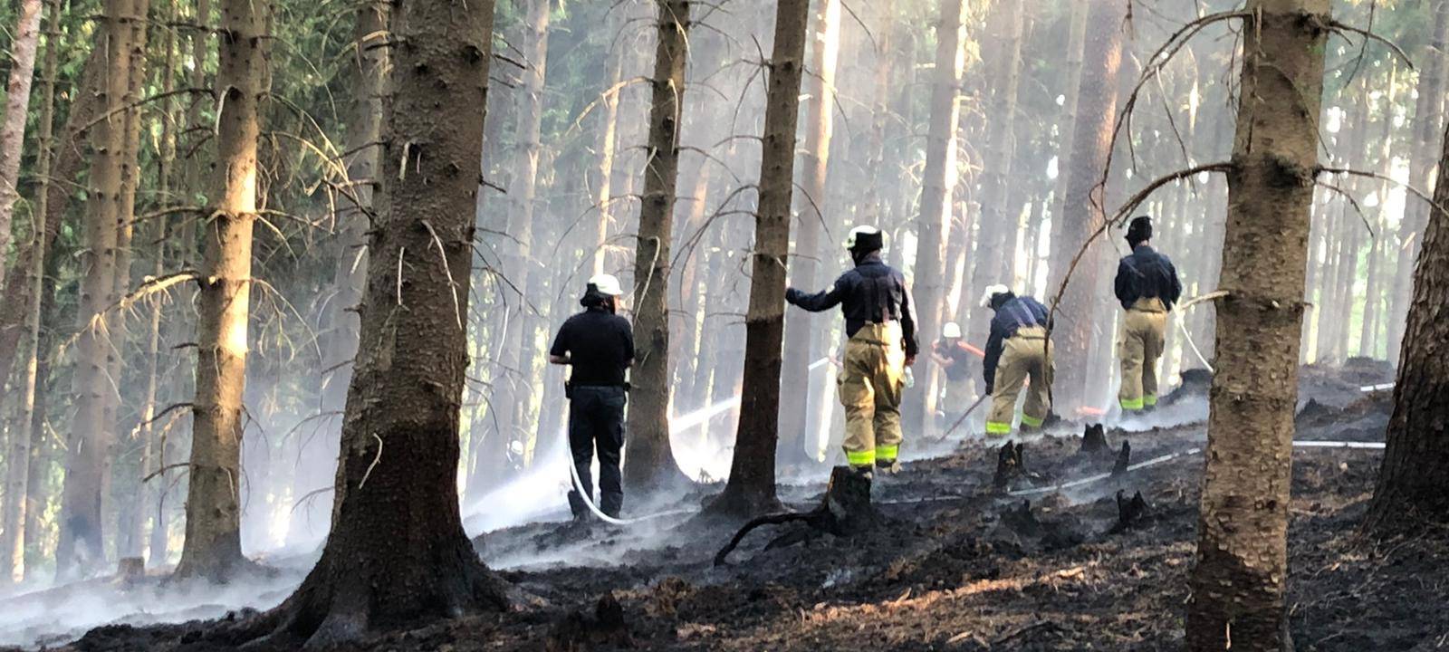Brand im Aachener Wald