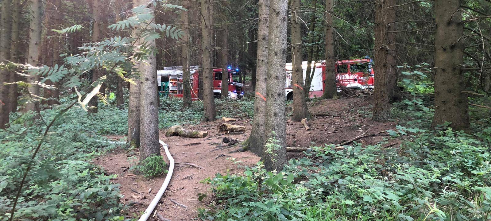 Brand im Aachener Wald