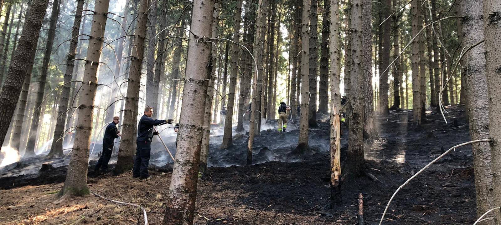 Brand im Aachener Wald