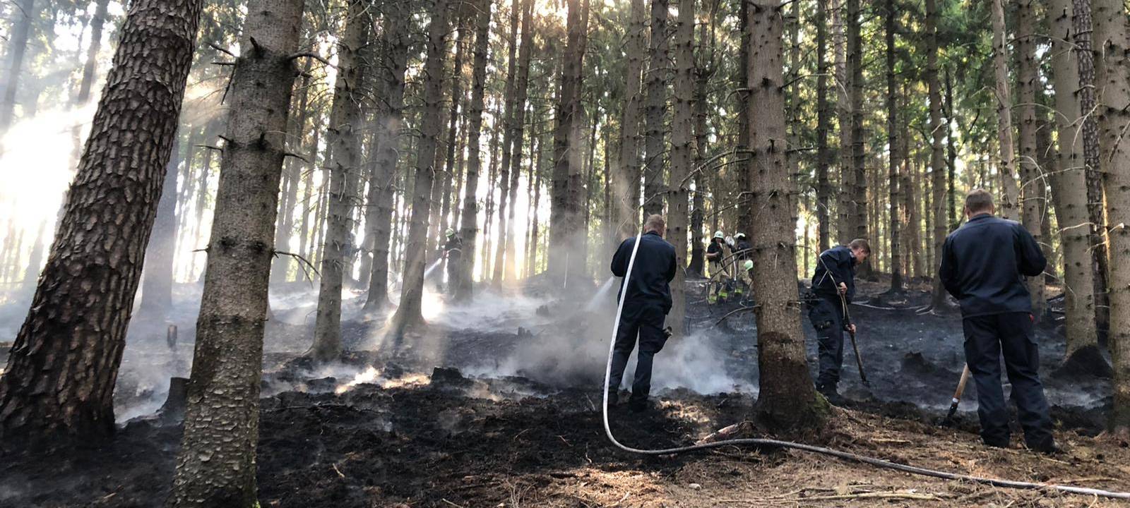 Brand im Aachener Wald
