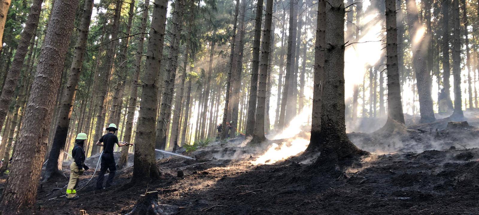 Brand im Aachener Wald