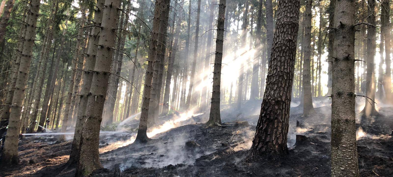Brand im Aachener Wald