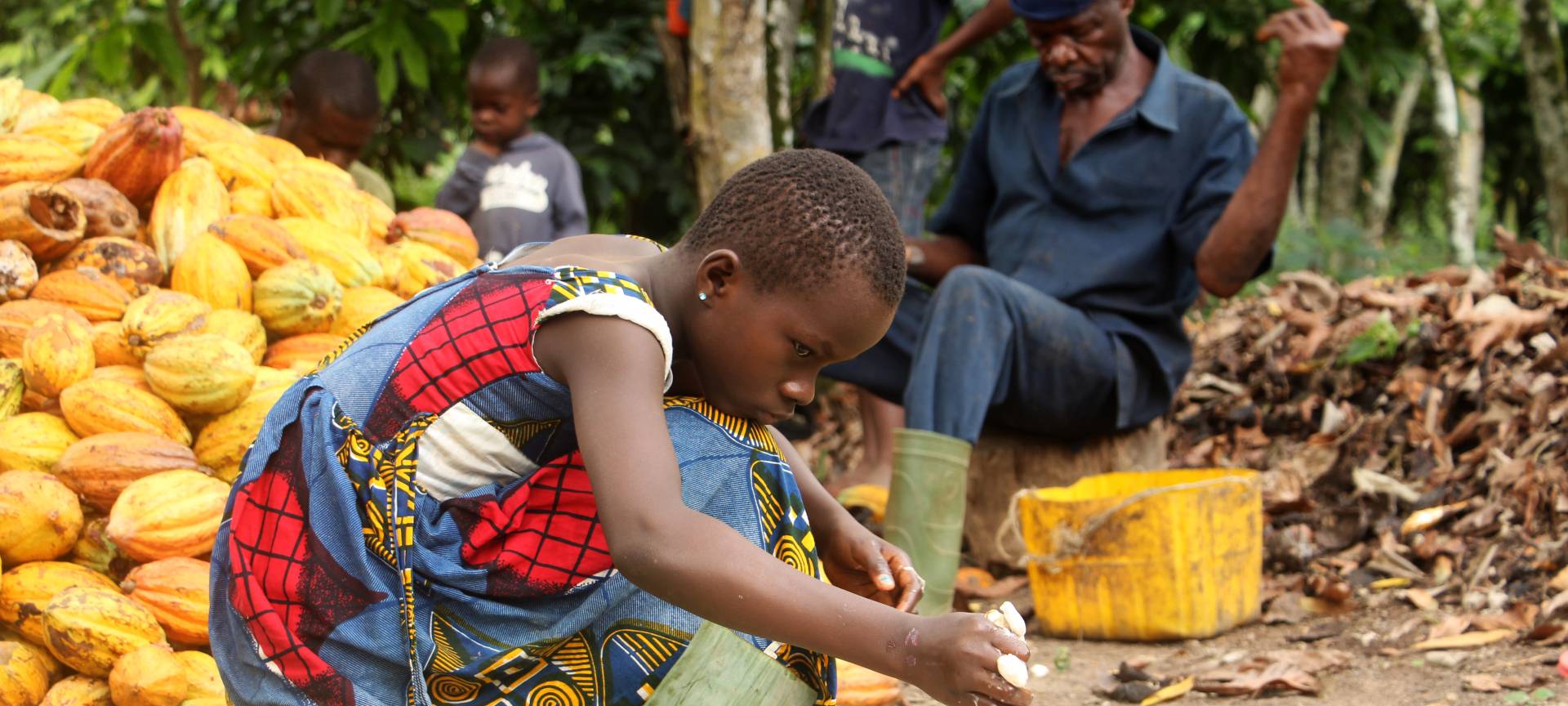 MISEREOR fordert Abschaffung von Kinderarbeit