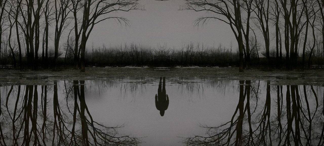 Draußen im Wald....