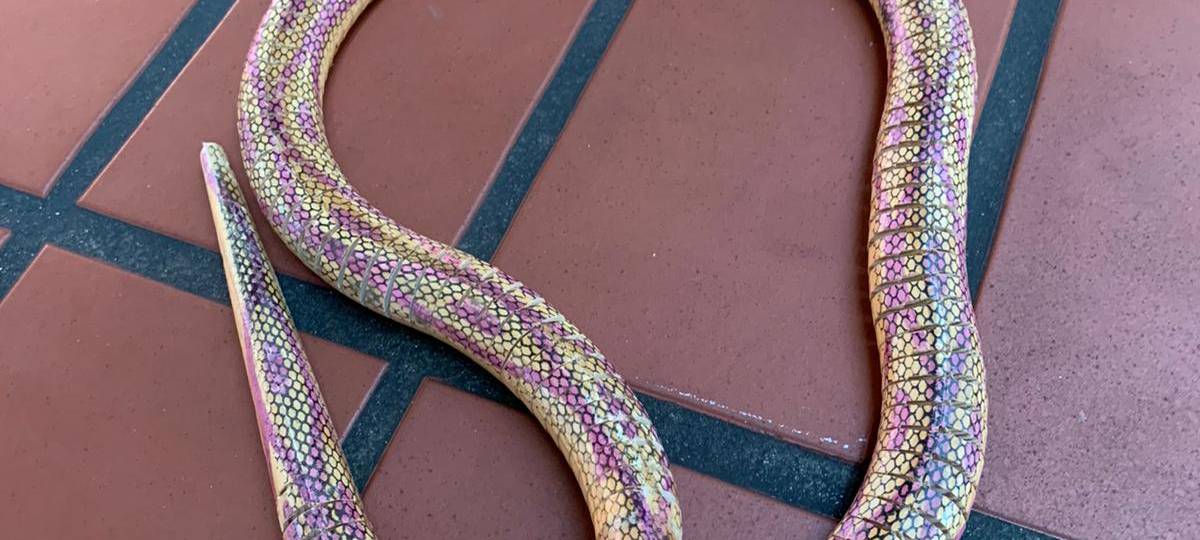 "Schlange" im Blumenkübel