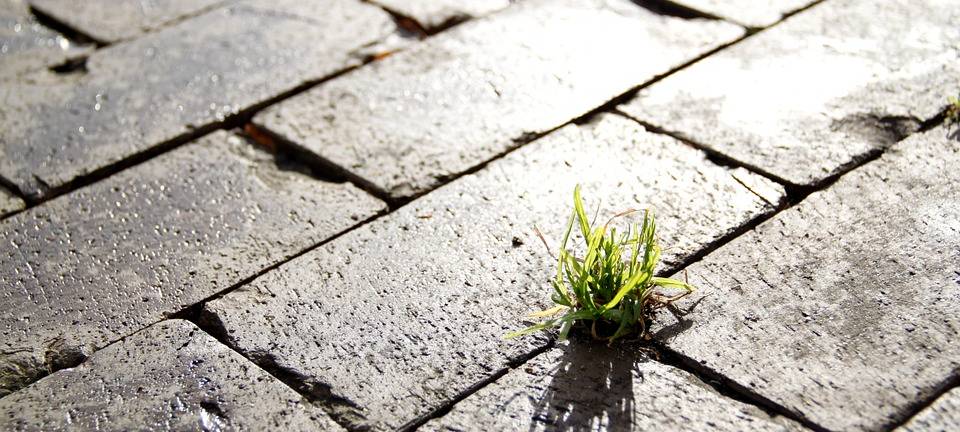 Offener Brief - "Runder Tisch Klimanotstand Aachen"