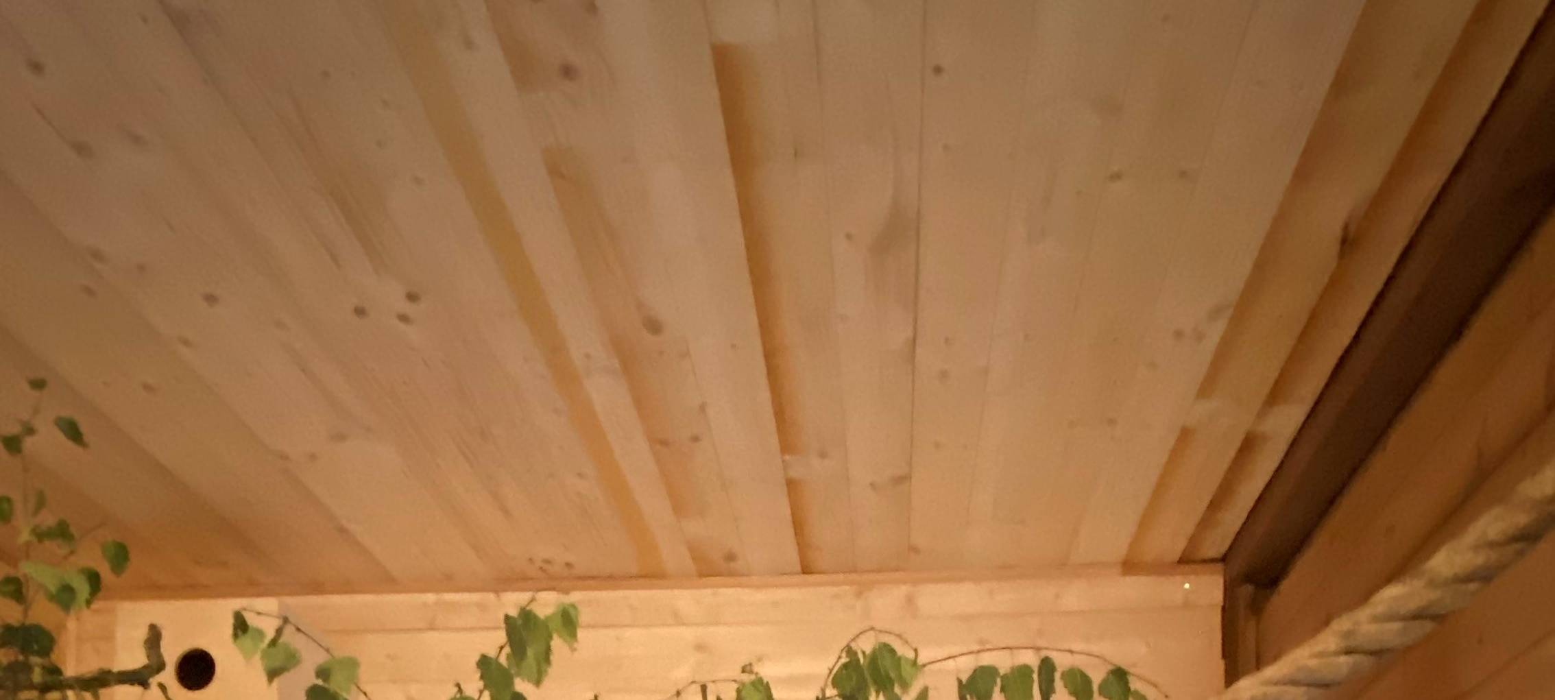 Mehr Platz für die Weißbüscheläffchen