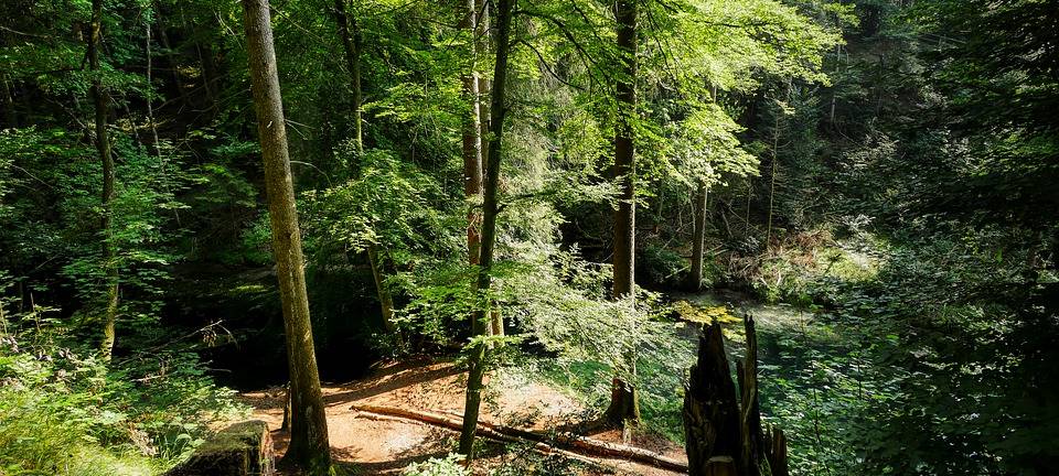 Wanderer stürzt in die Tiefe