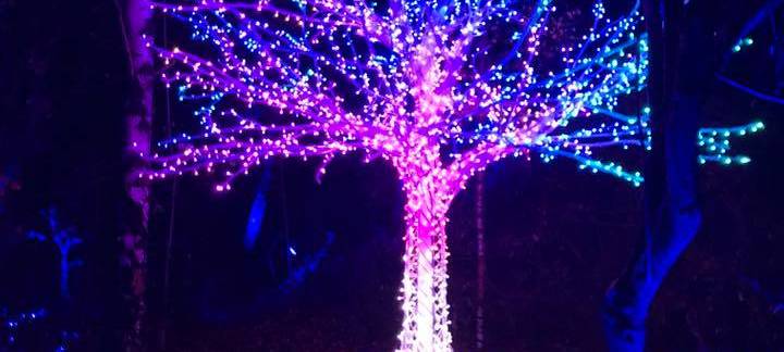 Haldenzauber findet statt