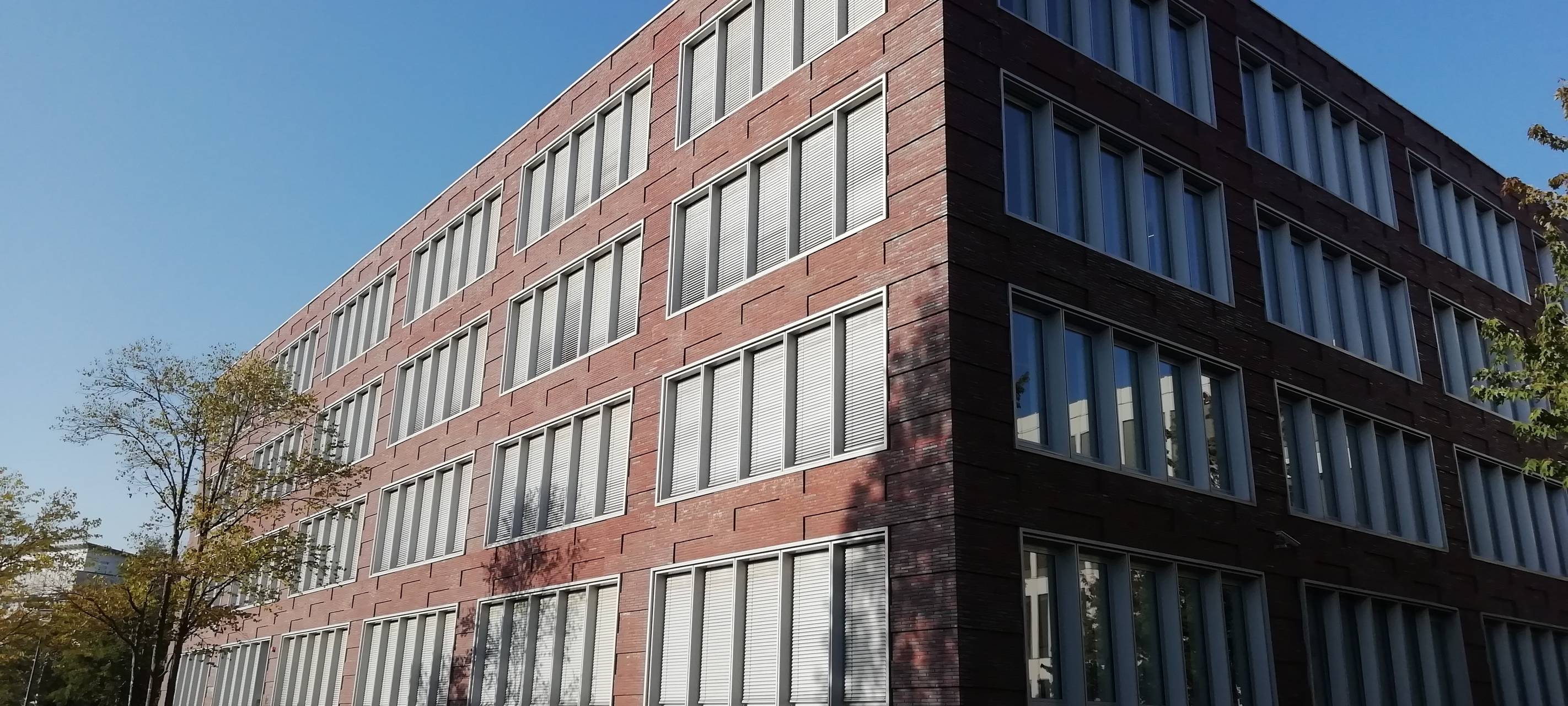 "AfDler töten"-Plakat: Ermittlungen eingestellt