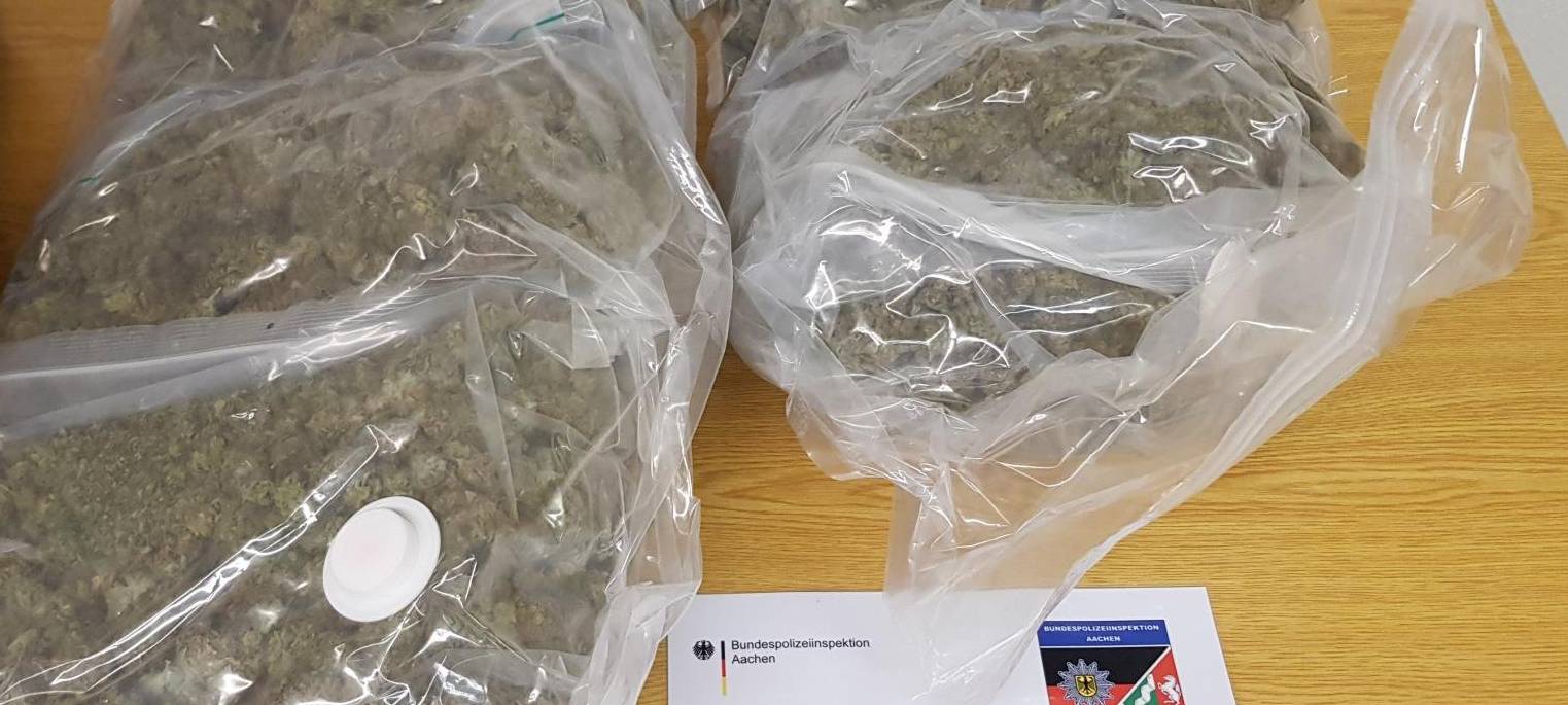 4,9 Kilo Gras im Kastenwagen