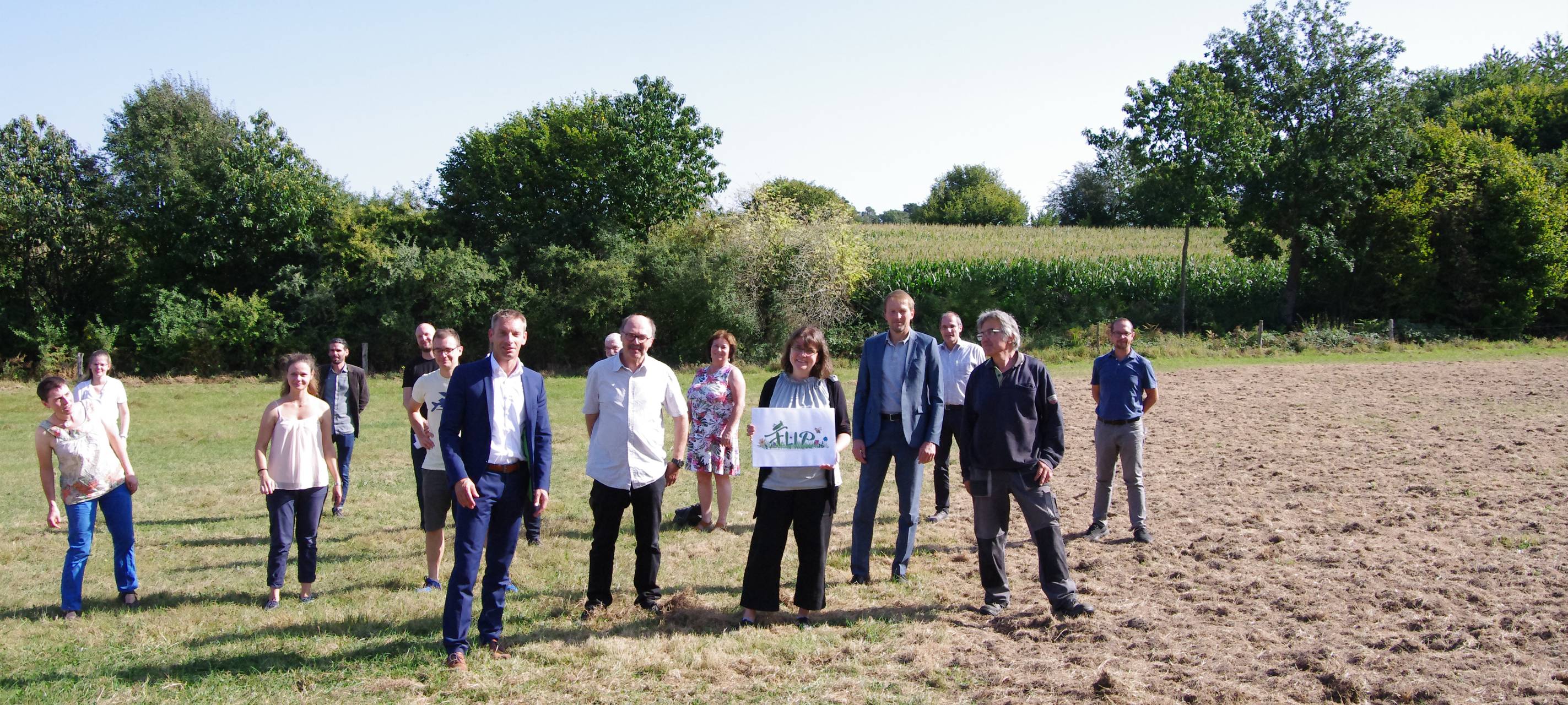FLIP: Schöne Wiesen für Mensch und Insekt