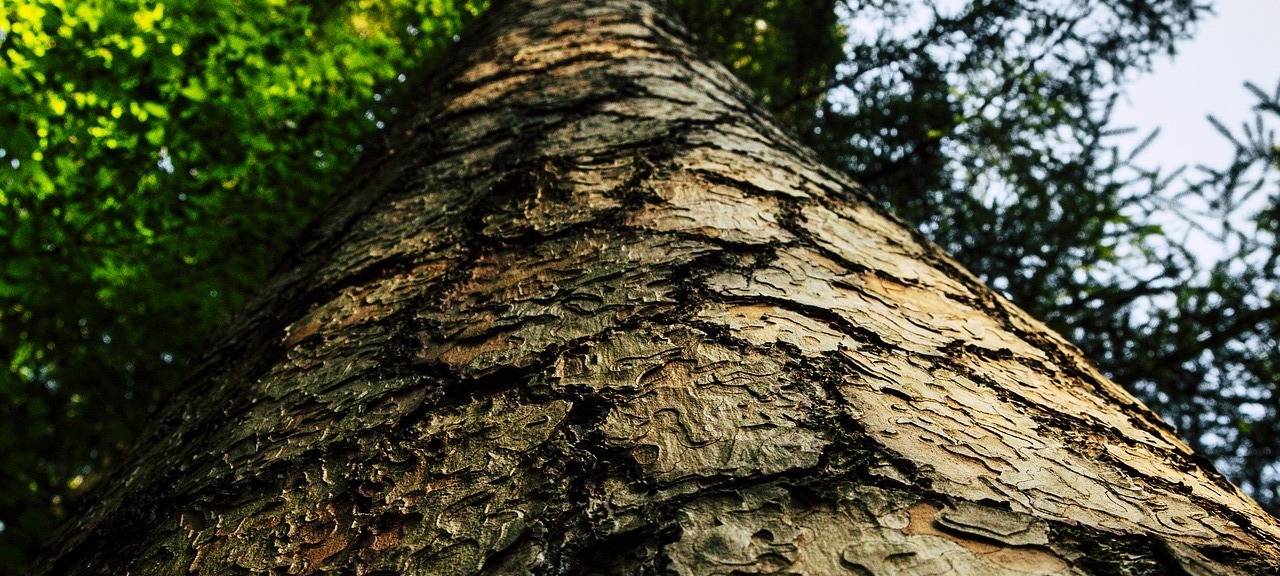 Lösung für Chorusberg