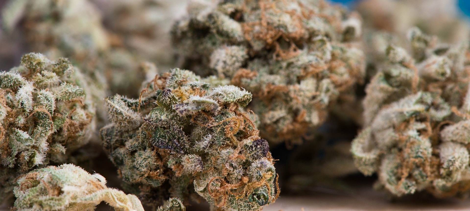 SPD Aachen will Aachen als Cannabis-Modellregion