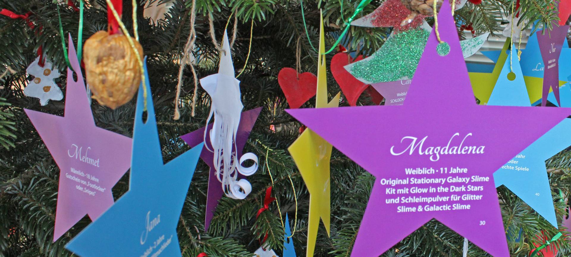 Rekord bei Wunschbaumaktion