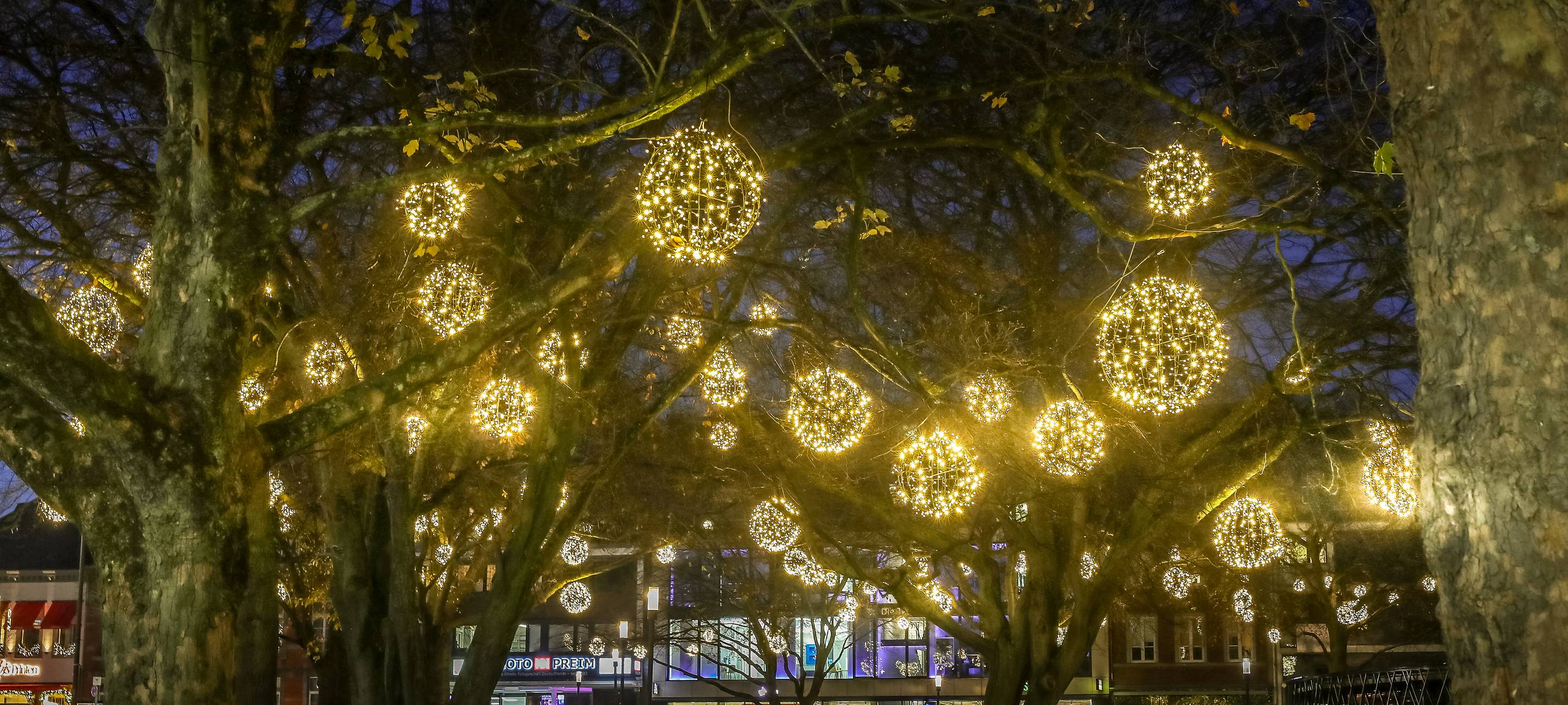 Lichterglanz im Elisengarten bis Monatsende
