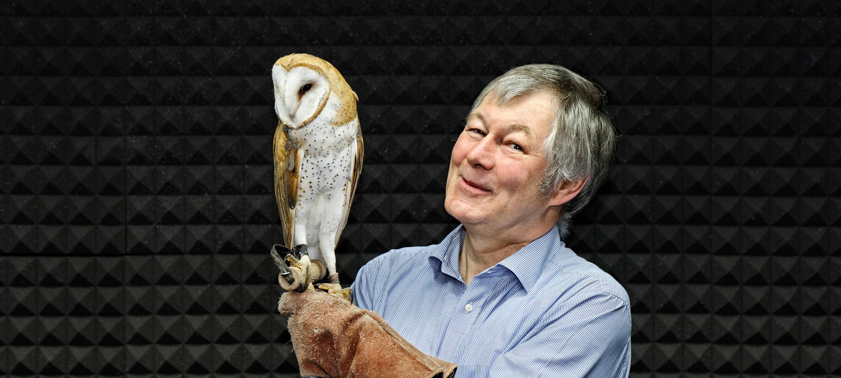 Eulenflug als Vorbild für geräuscharmes Fliegen