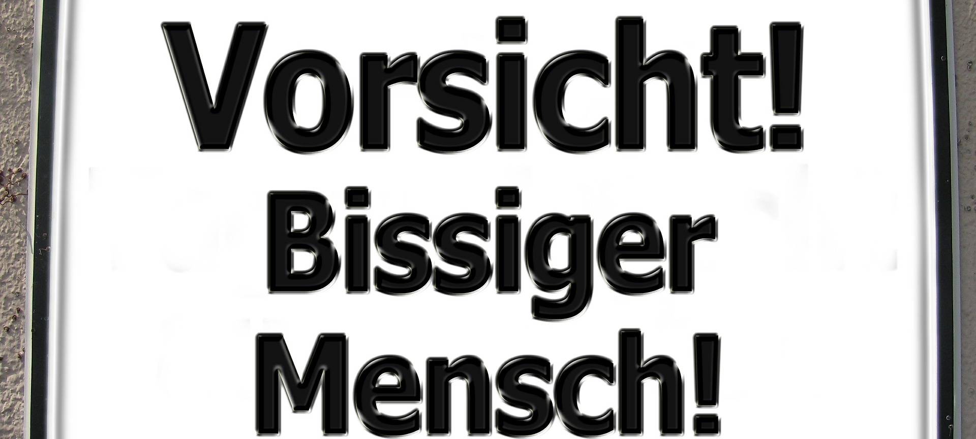 Bissiger Schwarzfahrer im RE1