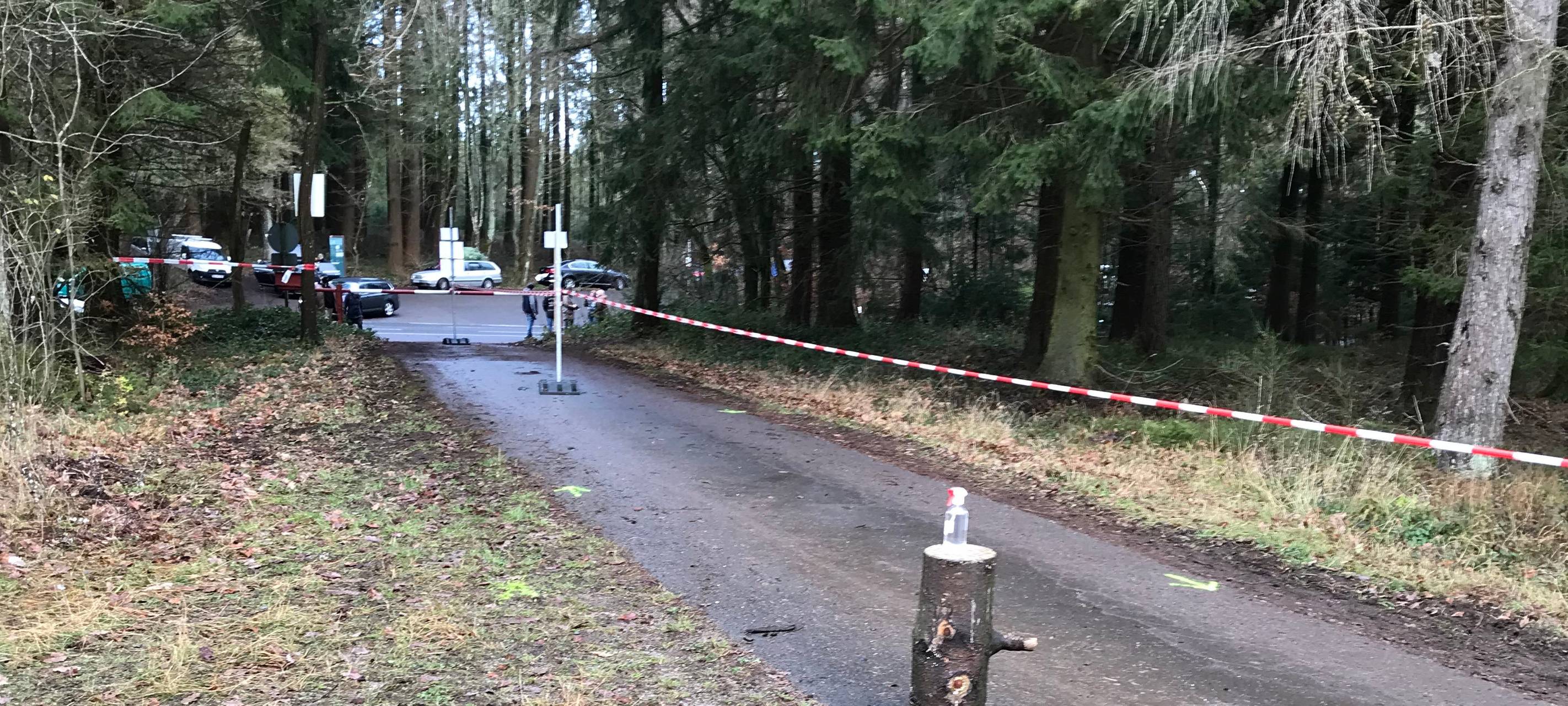 Weihnachtsbaumschlagen in Simmerath