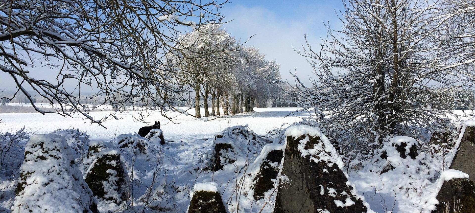 Hohes Venn bleibt offen